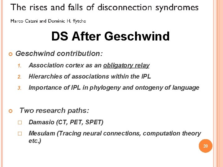 DS After Geschwind contribution: 1. Association cortex as an obligatory relay 2. Hierarchies of