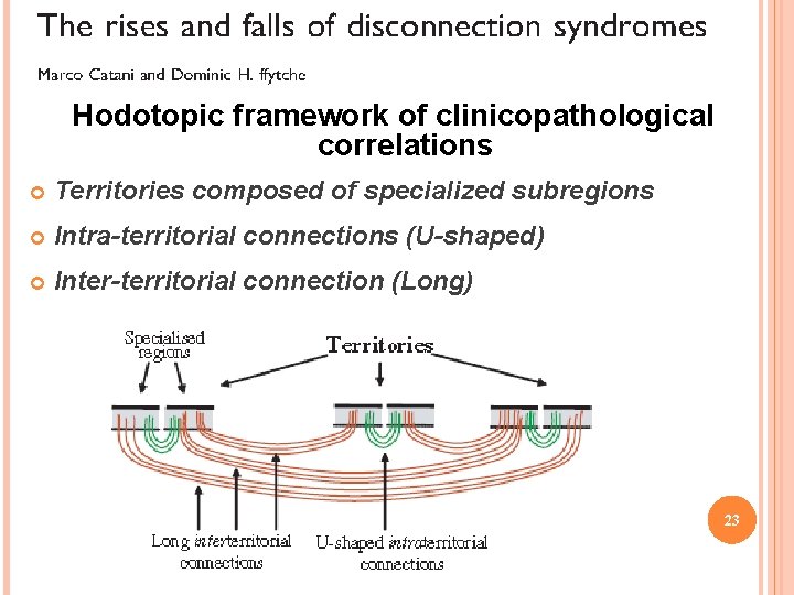 Hodotopic framework of clinicopathological correlations Territories composed of specialized subregions Intra-territorial connections (U-shaped) Inter-territorial