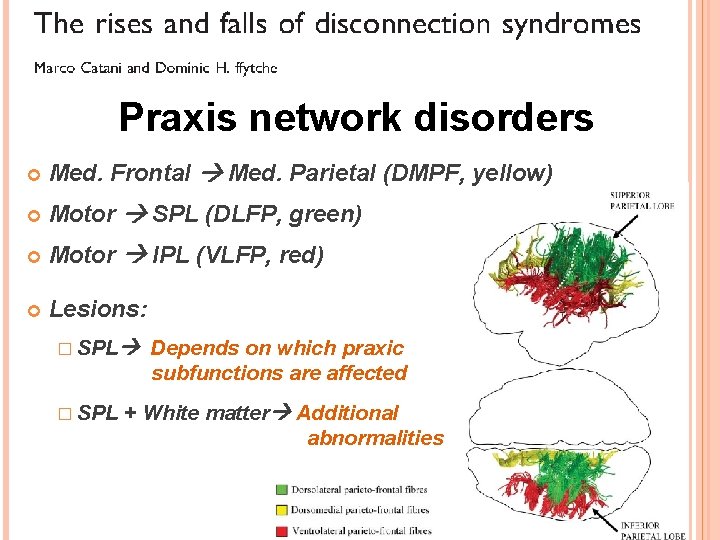 Praxis network disorders Med. Frontal Med. Parietal (DMPF, yellow) Motor SPL (DLFP, green) Motor