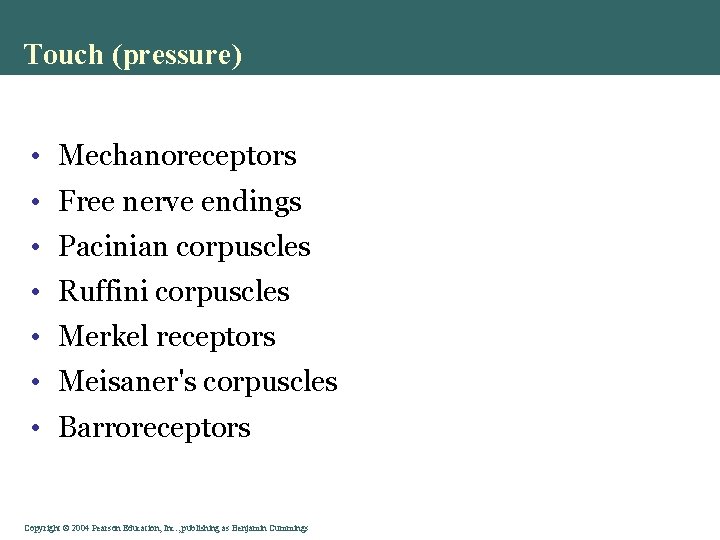 Touch (pressure) • Mechanoreceptors • Free nerve endings • Pacinian corpuscles • Ruffini corpuscles