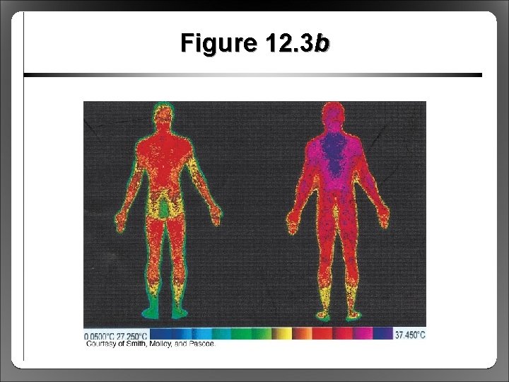 Figure 12. 3 b 