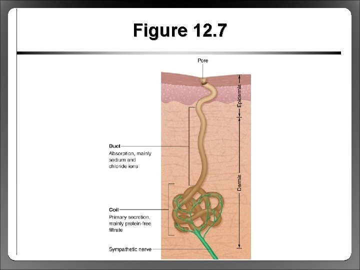 Figure 12. 7 