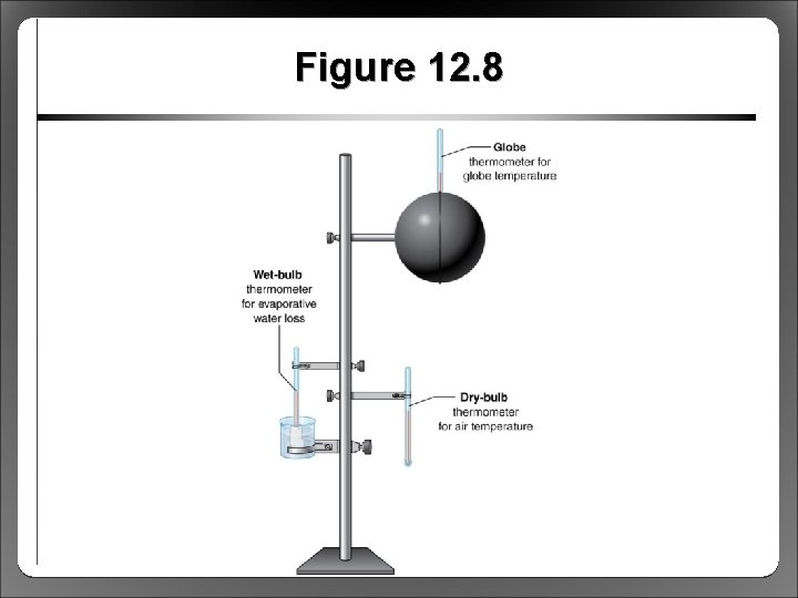 Figure 12. 8 