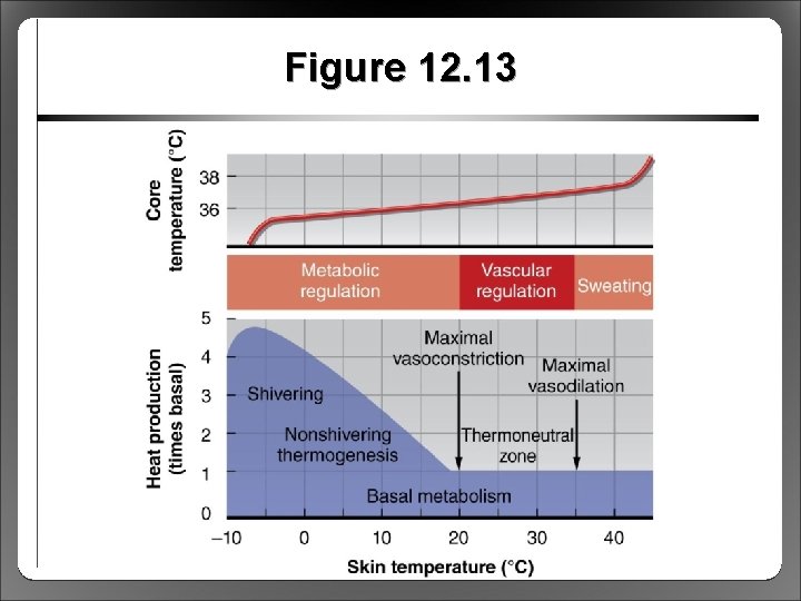 Figure 12. 13 