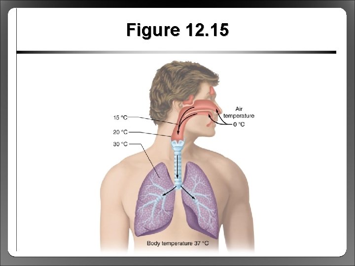 Figure 12. 15 