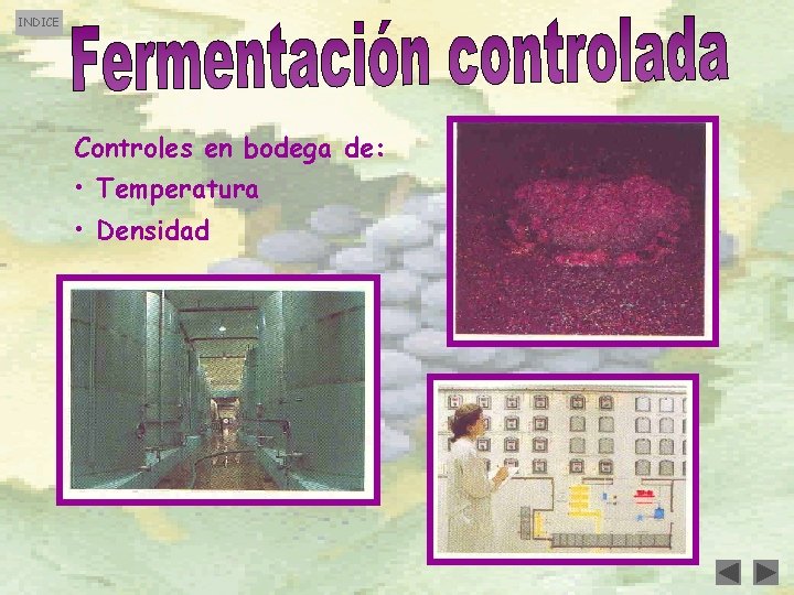 INDICE Controles en bodega de: • Temperatura • Densidad 