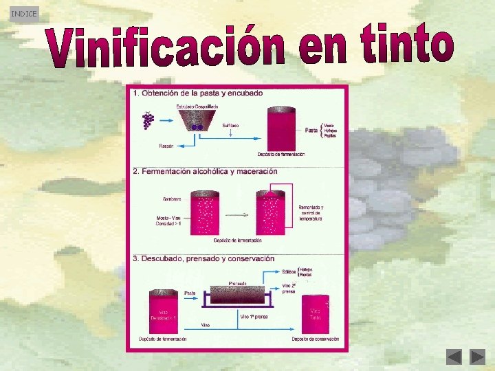 INDICE INDICE