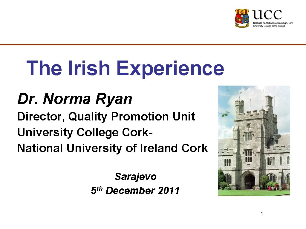 The Irish Experience Dr. Norma Ryan Director, Quality Promotion Unit University College Cork- National