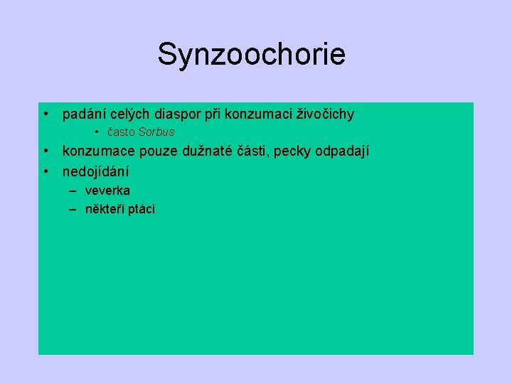 Synzoochorie • padání celých diaspor při konzumaci živočichy • často Sorbus • konzumace pouze