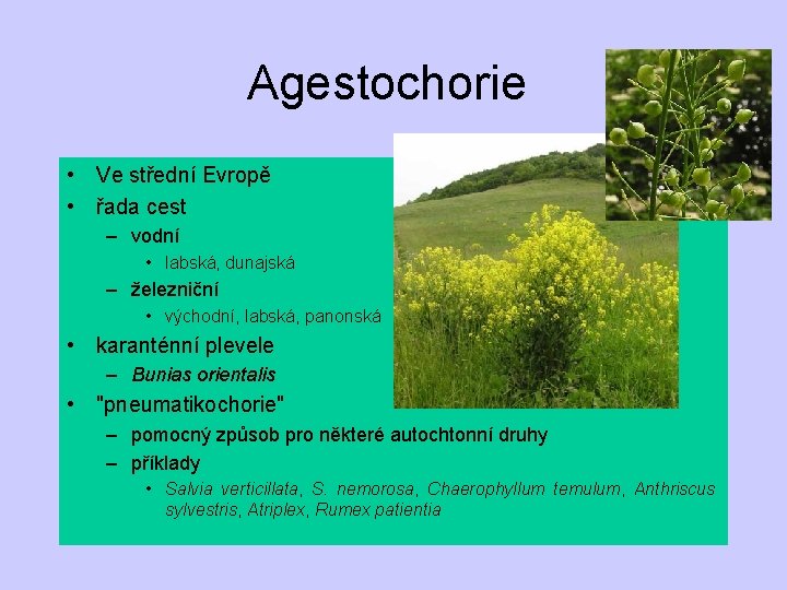 Agestochorie • Ve střední Evropě • řada cest – vodní • labská, dunajská –