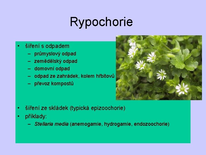 Rypochorie • šíření s odpadem – – – průmyslový odpad zemědělský odpad domovní odpad