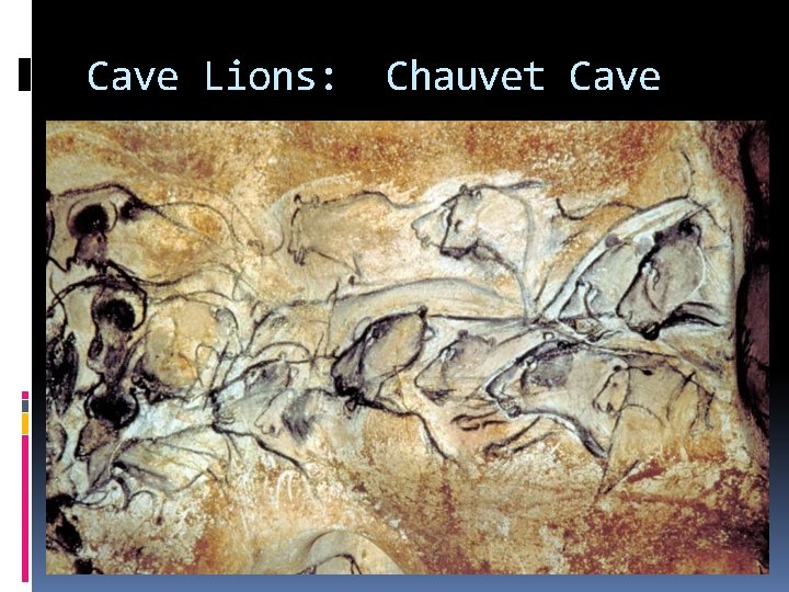 Cave Lions: Chauvet Cave 