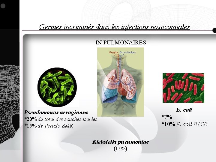 Germes incriminés dans les infections nosocomiales IN PULMONAIRES E. coli Pseudomonas aeruginosa *7% *10%