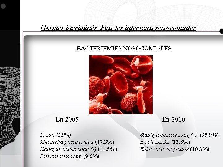 Germes incriminés dans les infections nosocomiales BACTÉRIÉMIES NOSOCOMIALES En 2005 E. coli (25%) Klebsiella