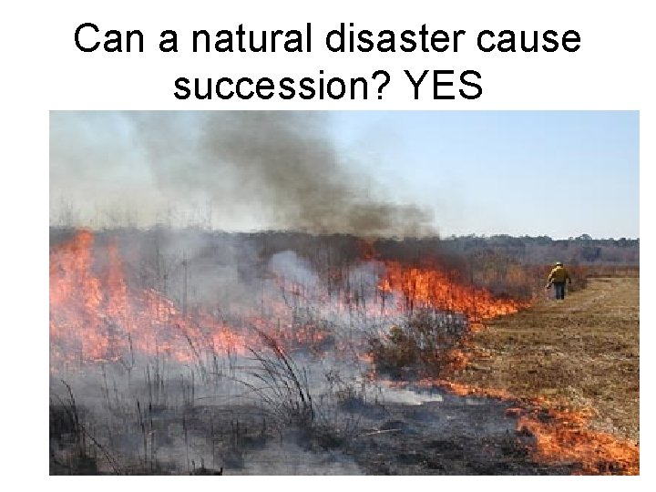 Can a natural disaster cause succession? YES 