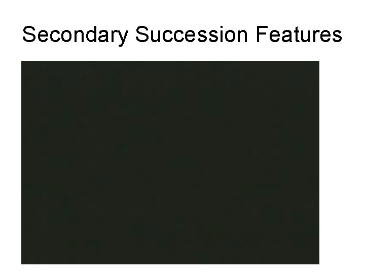 Secondary Succession Features 