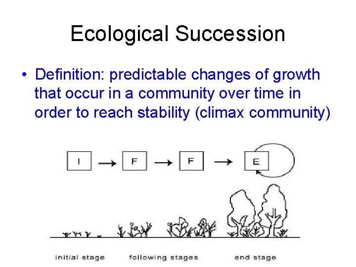 Ecological Succession • Definition: predictable changes of growth that occur in a community over