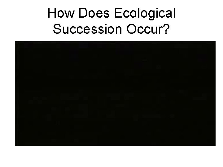 How Does Ecological Succession Occur? 
