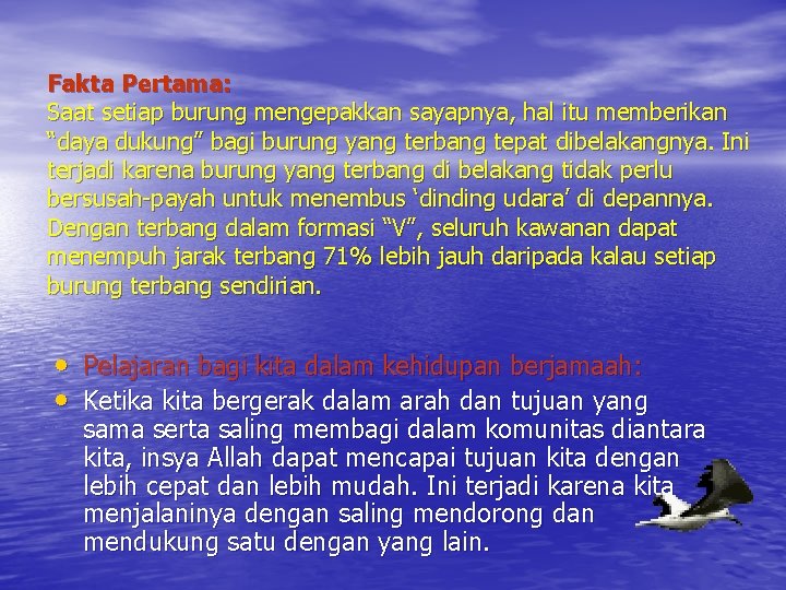 Fakta Pertama: Saat setiap burung mengepakkan sayapnya, hal itu memberikan “daya dukung” bagi burung