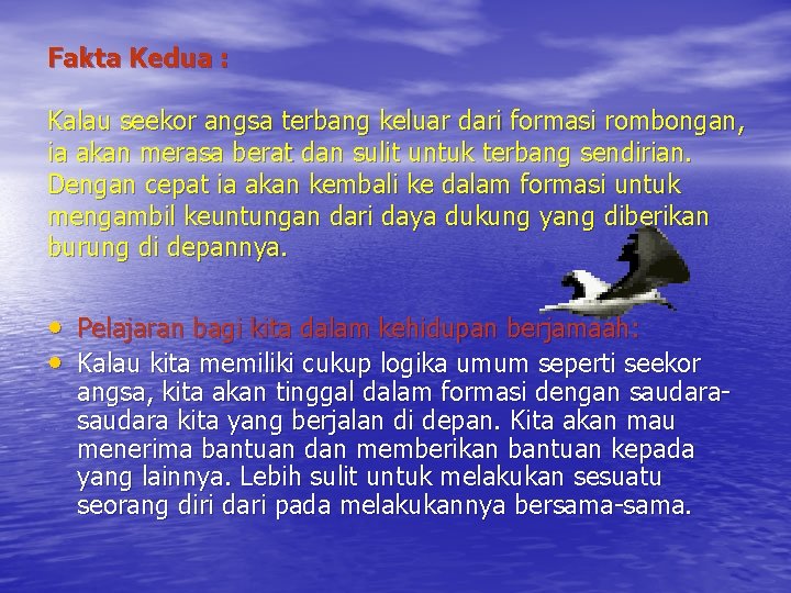 Fakta Kedua : Kalau seekor angsa terbang keluar dari formasi rombongan, ia akan merasa