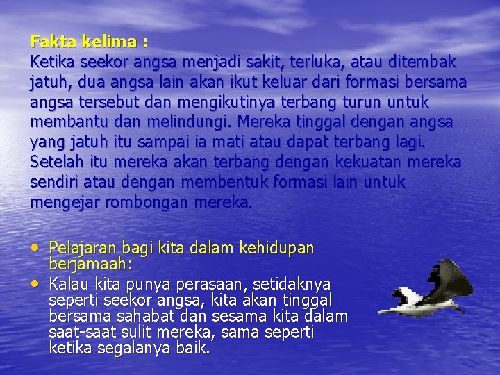 Fakta kelima : Ketika seekor angsa menjadi sakit, terluka, atau ditembak jatuh, dua angsa Fakta kelima : Ketika seekor angsa menjadi sakit, terluka, atau ditembak jatuh, dua angsa