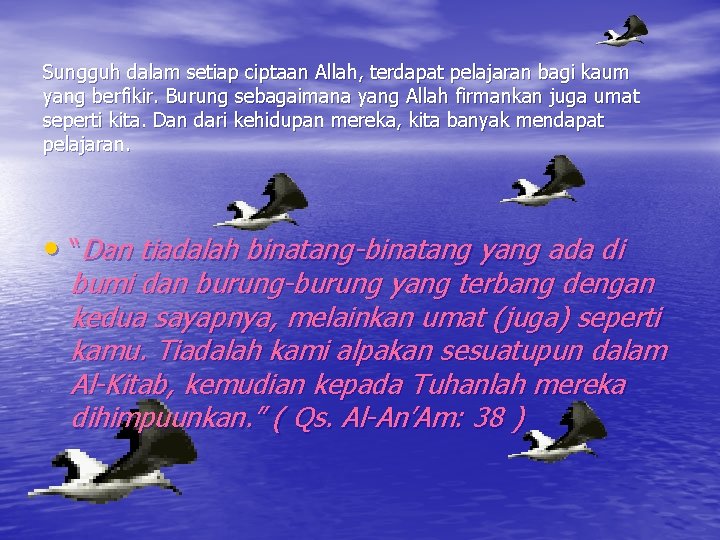 Sungguh dalam setiap ciptaan Allah, terdapat pelajaran bagi kaum yang berfikir. Burung sebagaimana yang Sungguh dalam setiap ciptaan Allah, terdapat pelajaran bagi kaum yang berfikir. Burung sebagaimana yang