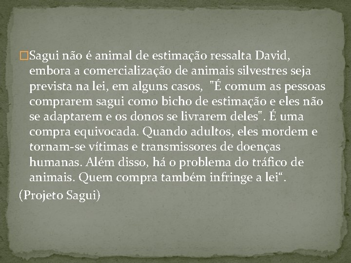 �Sagui não é animal de estimação ressalta David, embora a comercialização de animais silvestres