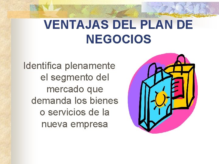 VENTAJAS DEL PLAN DE NEGOCIOS Identifica plenamente el segmento del mercado que demanda los