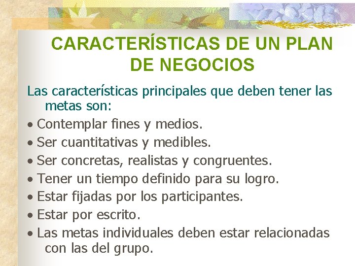 CARACTERÍSTICAS DE UN PLAN DE NEGOCIOS Las características principales que deben tener las metas