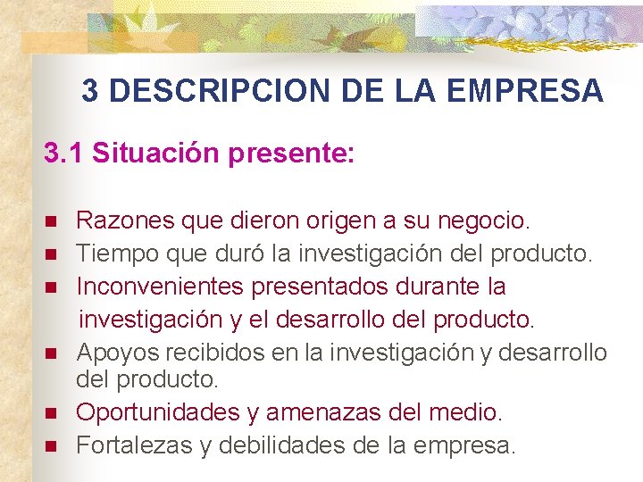 3 DESCRIPCION DE LA EMPRESA 3. 1 Situación presente: Razones que dieron origen a