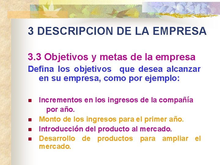 3 DESCRIPCION DE LA EMPRESA 3. 3 Objetivos y metas de la empresa Defina