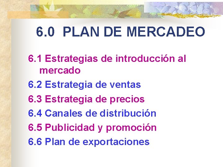 6. 0 PLAN DE MERCADEO 6. 1 Estrategias de introducción al mercado 6. 2