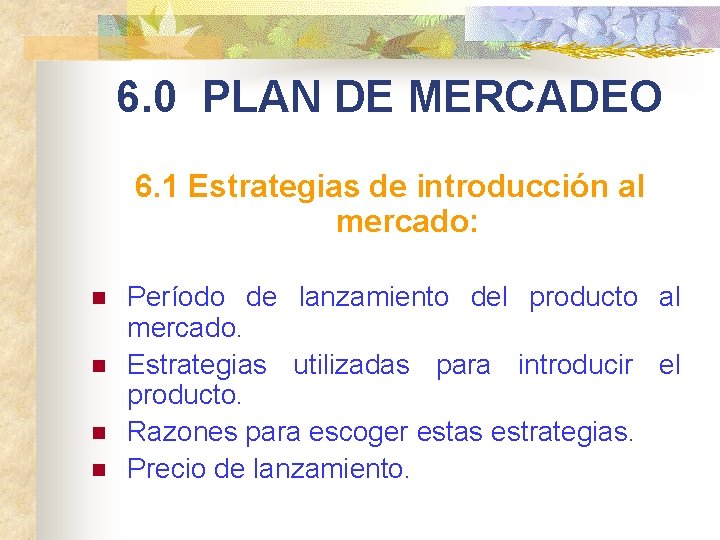 6. 0 PLAN DE MERCADEO 6. 1 Estrategias de introducción al mercado: n n