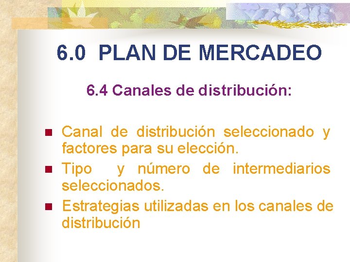 6. 0 PLAN DE MERCADEO 6. 4 Canales de distribución: n n n Canal