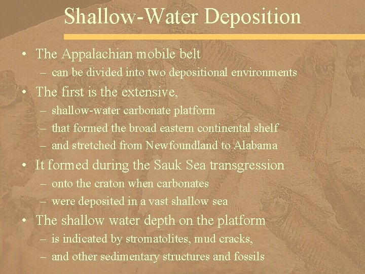 Shallow-Water Deposition • The Appalachian mobile belt – can be divided into two depositional