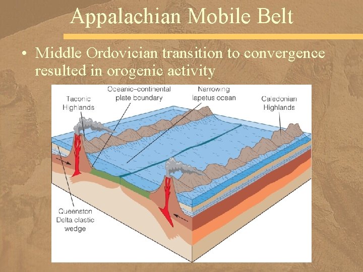 Appalachian Mobile Belt • Middle Ordovician transition to convergence resulted in orogenic activity 