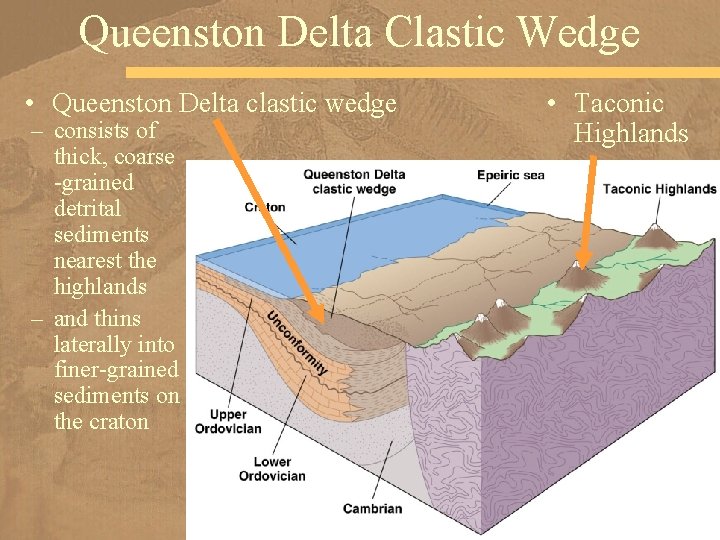 Queenston Delta Clastic Wedge • Queenston Delta clastic wedge – consists of thick, coarse