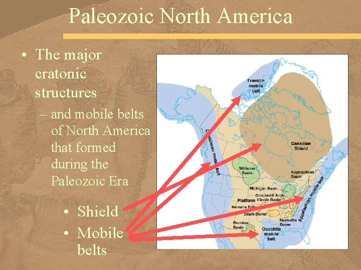 Paleozoic North America • The major cratonic structures – and mobile belts of North