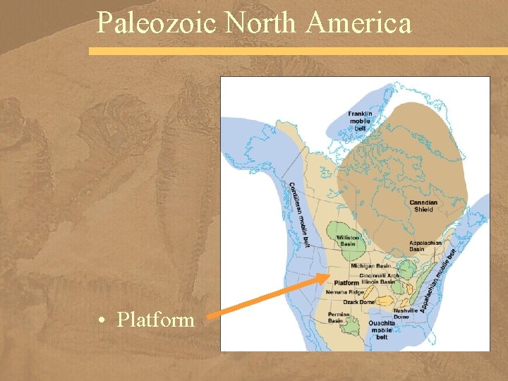 Paleozoic North America • Platform 