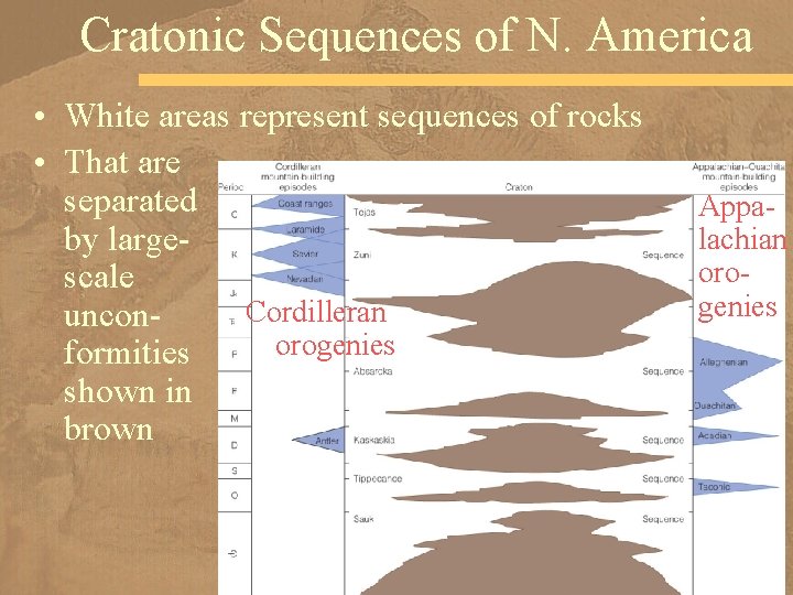 Cratonic Sequences of N. America • White areas represent sequences of rocks • That