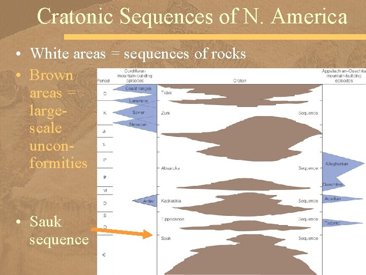 Cratonic Sequences of N. America • White areas = sequences of rocks • Brown