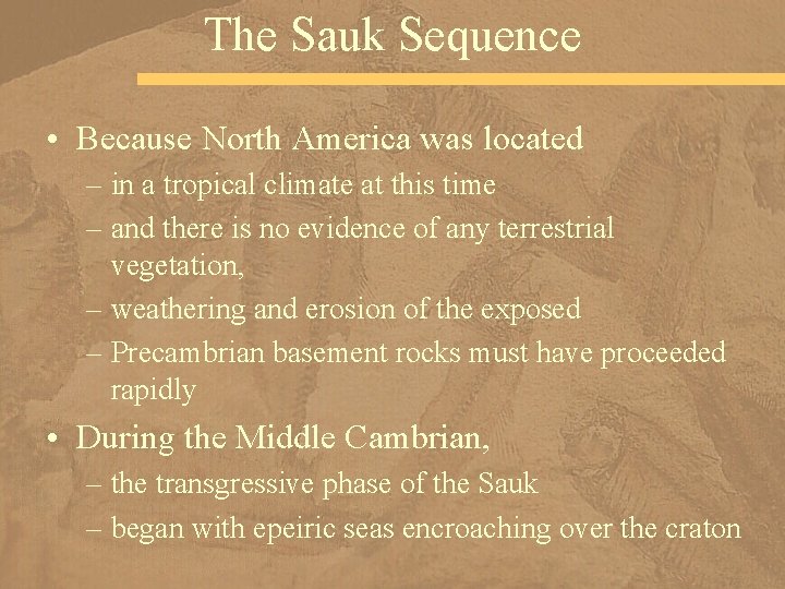 The Sauk Sequence • Because North America was located – in a tropical climate