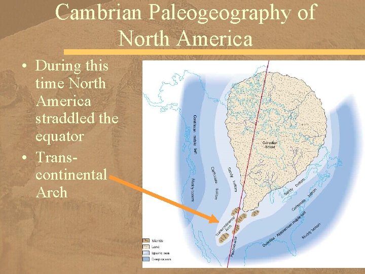 Cambrian Paleogeography of North America • During this time North America straddled the equator