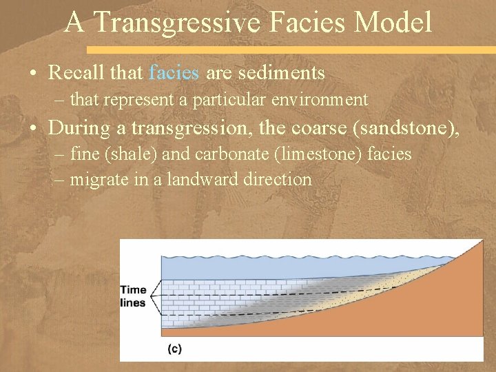 A Transgressive Facies Model • Recall that facies are sediments – that represent a