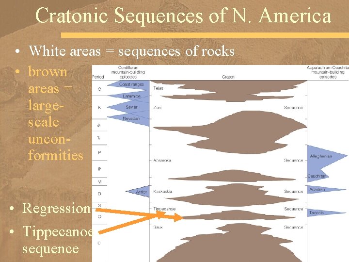 Cratonic Sequences of N. America • White areas = sequences of rocks • brown