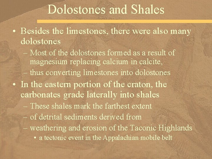 Dolostones and Shales • Besides the limestones, there were also many dolostones – Most