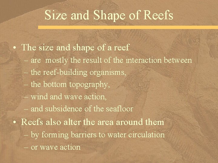 Size and Shape of Reefs • The size and shape of a reef –