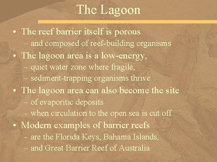 The Lagoon • The reef barrier itself is porous – and composed of reef-building