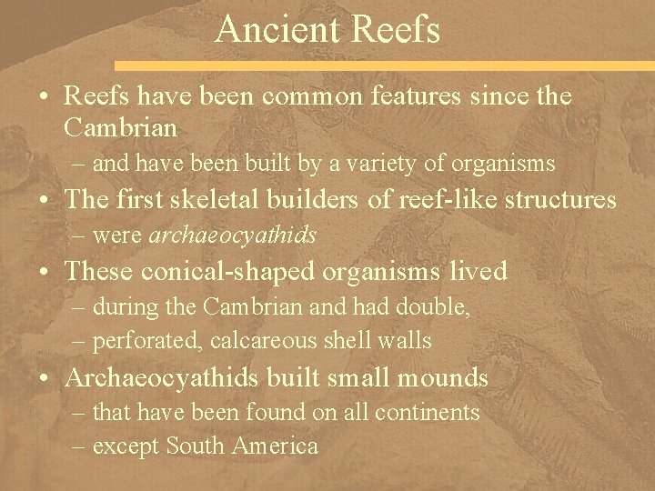 Ancient Reefs • Reefs have been common features since the Cambrian – and have