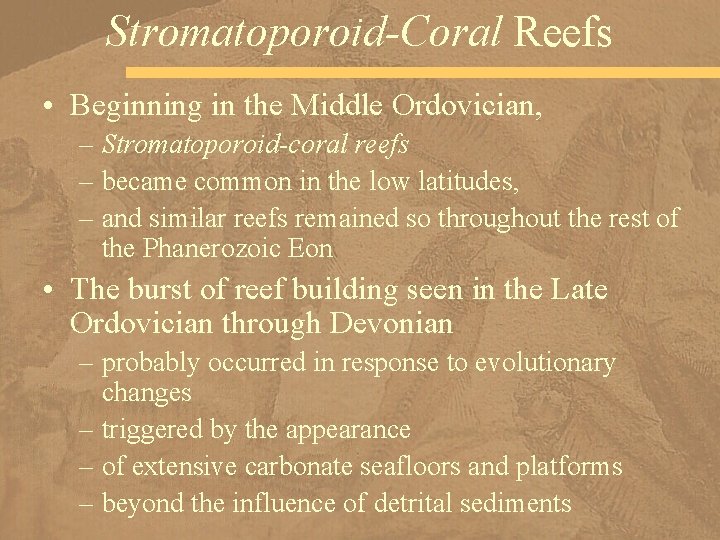 Stromatoporoid-Coral Reefs • Beginning in the Middle Ordovician, – Stromatoporoid-coral reefs – became common